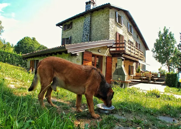 Holiday home Casa Pratolungo *